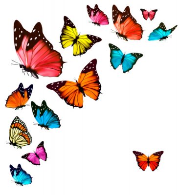 Fotobehang Veelkleurige vlinders op een lichte achtergrond