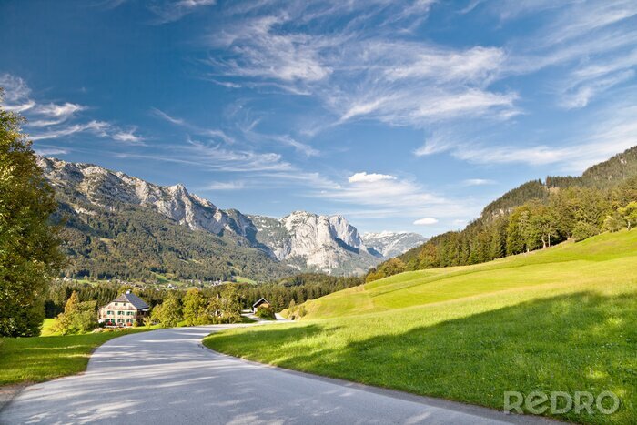 Fotobehang Veld en bergen in de Alpen