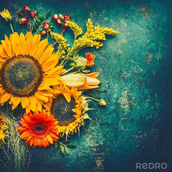 Fotobehang Veld zonnebloemen op een groene achtergrond