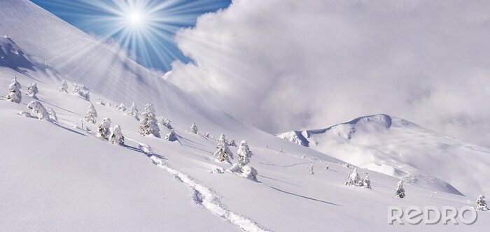 Fotobehang Velden bedekt met sneeuw