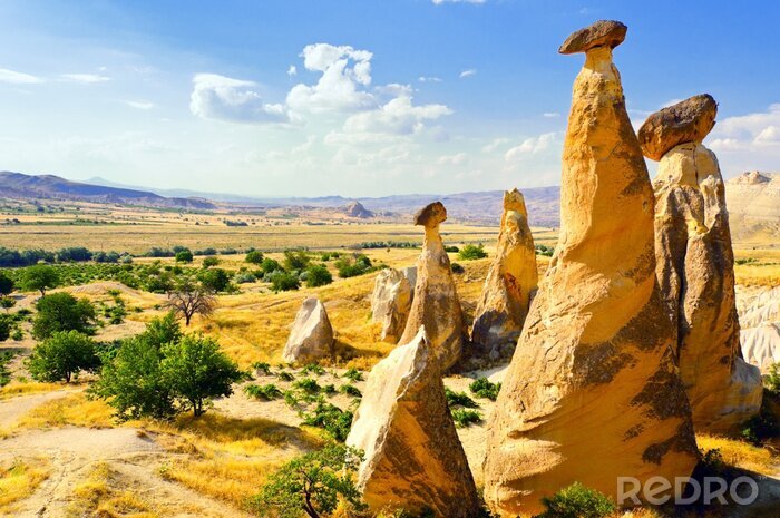 Fotobehang Velden in een landschap met rotsen