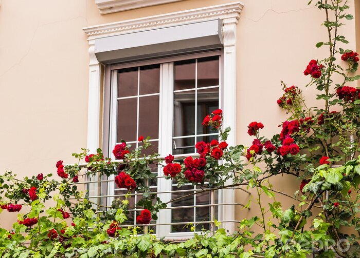 Fotobehang venster met rozen