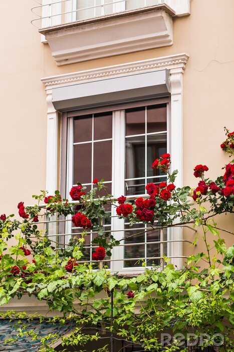 Fotobehang venster met rozen