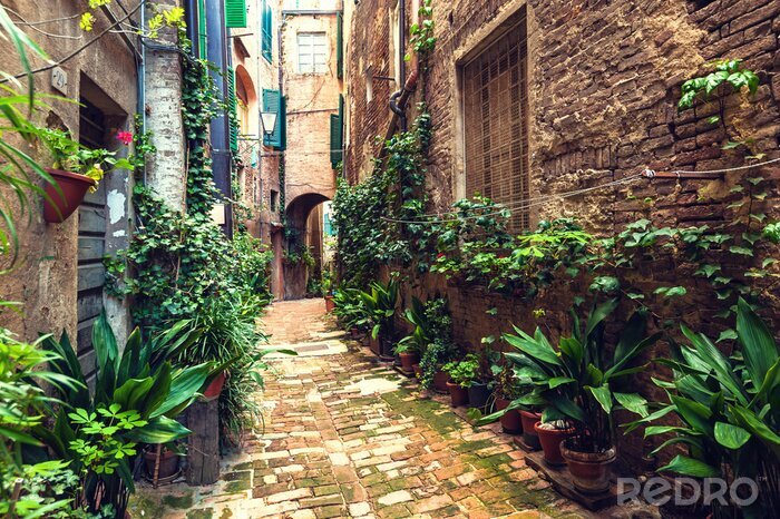 Fotobehang Verborgen straatjes van de oude stad van Siena, Italië
