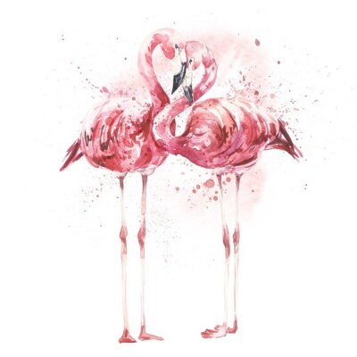 Fotobehang Verliefd flamingopaar geschilderd in aquarel op witte achtergrond