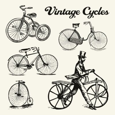 Fotobehang Verschillende fietsen in vintage stijl