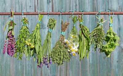 verse kruiden op een achtergrond van rustieke planken