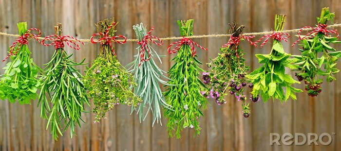 Fotobehang Verse tuinkers