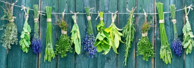 Fotobehang Verse tuinkers op een witte achtergrond