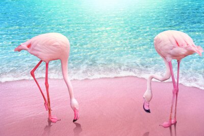 Verzadigd flamingo patroon