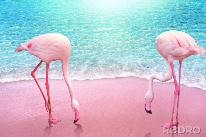 Fotobehang Verzadigd flamingo patroon