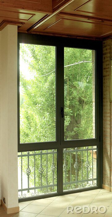 Fotobehang Vetrata con Telai in metallo