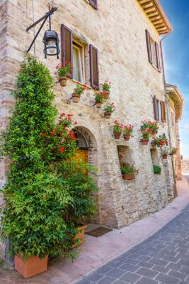 Fotobehang Vicolo con fiori, Assisi
