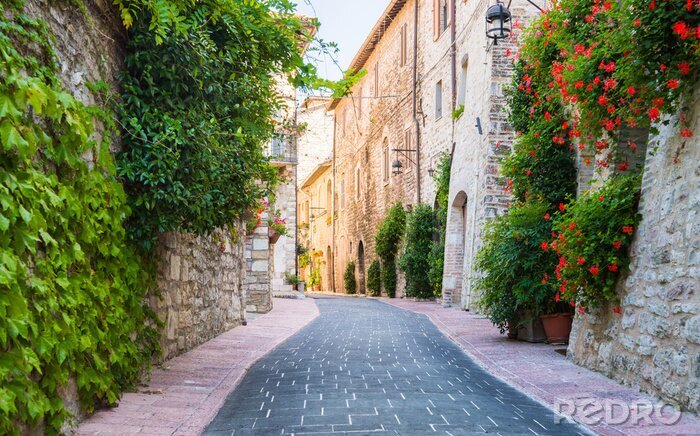 Fotobehang Vicolo con fiori, Assisi