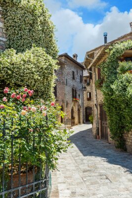 Fotobehang Vicolo storico