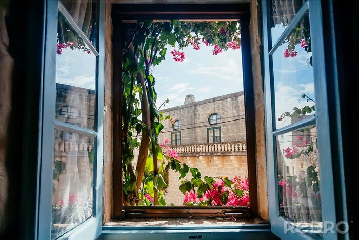 Fotobehang View from old house window with garden flowers and historical building behind. Romantic holidays concept