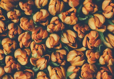 Fotobehang Vintage bouquet of beautiful peonies on black. Floral background. Baroque old fashiones style. Natural flowers pattern wallpaper or greeting card