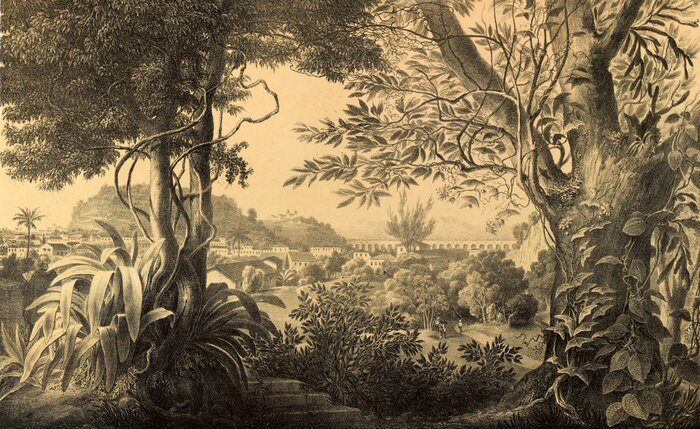 Fotobehang Vintage landschapsplanten bomen natuur