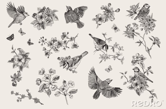 Fotobehang Vintage motief met vogels tussen sierlijke bloemen