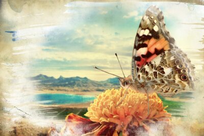 Fotobehang Vintage ontwerp met vlinder
