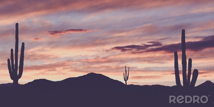 Fotobehang Vintage Wild West Desert met Cactus