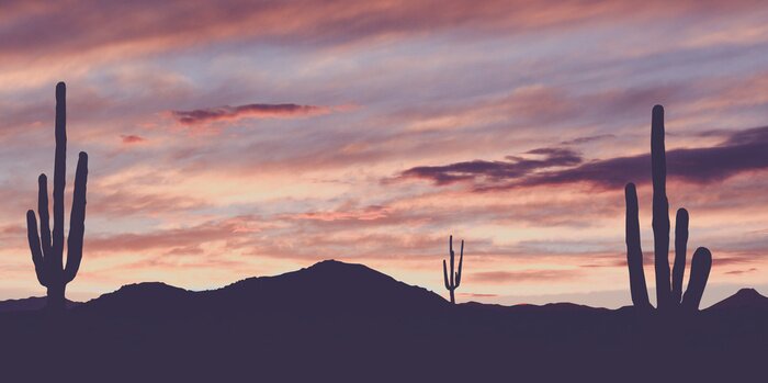 Fotobehang Vintage Wild West Desert met Cactus