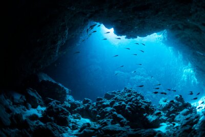 Fotobehang Vis die een donkere grot binnengaat