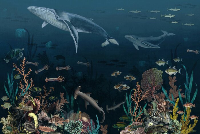 Fotobehang Vissen op de bodem van de oceaan