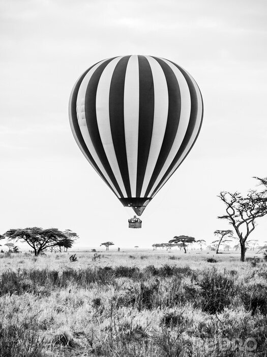 Fotobehang Vliegende ballon over de Afrikaanse savanne