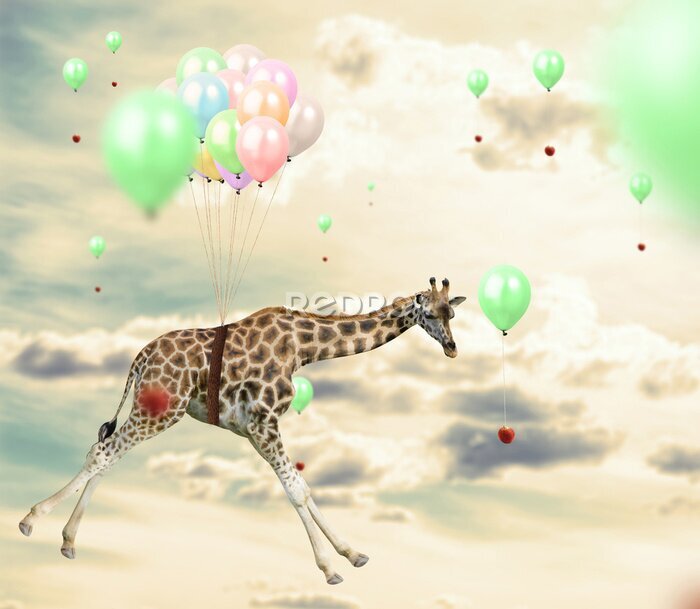 Fotobehang Vliegende giraf tussen kleurrijke ballonnen