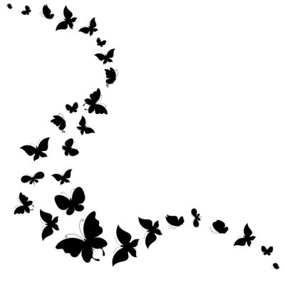 Fotobehang Vliegende zwart-witte vlinders