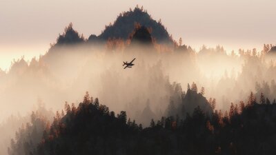 Fotobehang Vliegtuig op de achtergrond van het boslandschap