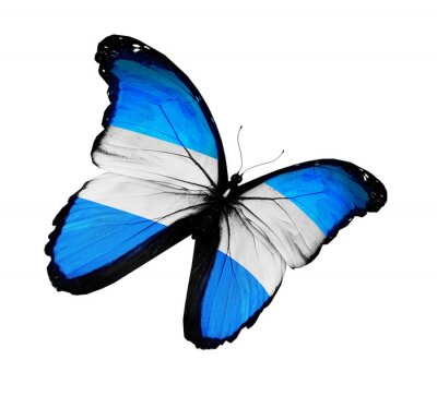 Fotobehang Vlinder in de kleuren van Argentinië