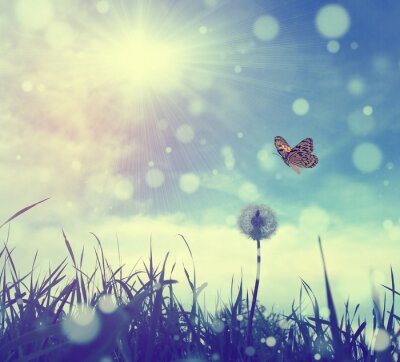 Sticker Vlinder in een retro foto