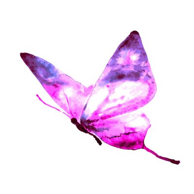 Fotobehang Vlinder in tie dye stijl
