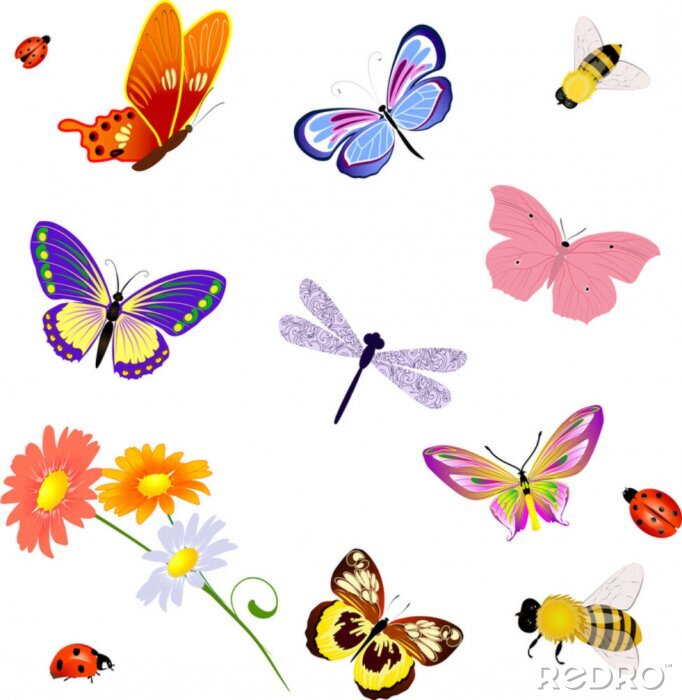 Fotobehang vlinder insecten bee lieveheersbeestje