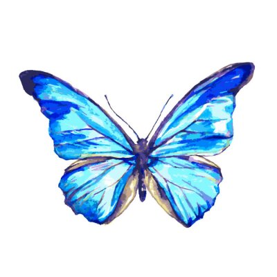 Vlinder met blauwe vleugels
