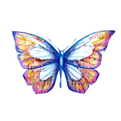Fotobehang Vlinder met pastelkleurige vleugels
