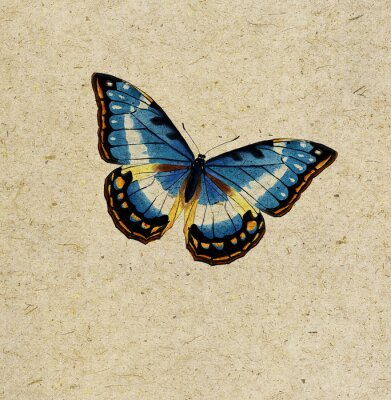 Fotobehang Vlinder op beige achtergrond
