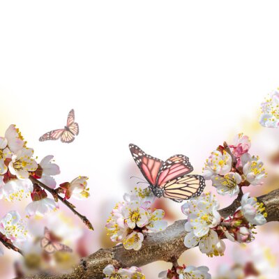 Vlinder op de achtergrond van lentebloemen