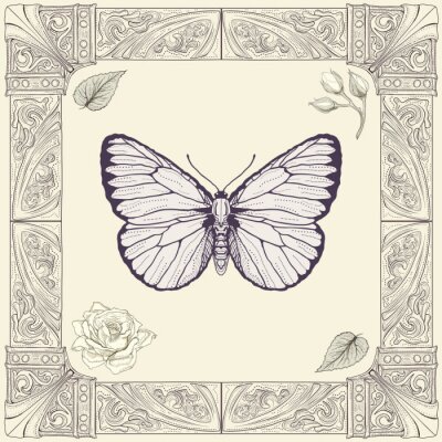Fotobehang Vlinder op de achtergrond van ornamentele illustratie