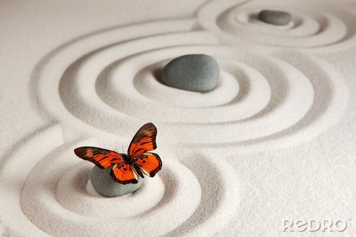 Fotobehang Vlinder op een achtergrond van stenen