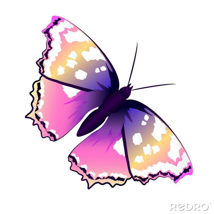 Fotobehang Vlinder op een lichte achtergrond