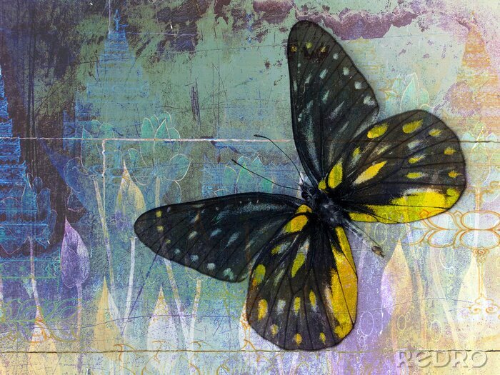Fotobehang Vlinder op een verouderde achtergrond