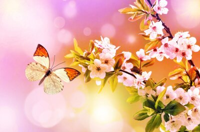 Fotobehang Vlinder tussen roze bloemen