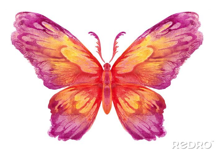 Fotobehang Vlindermotief in warme kleuren