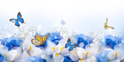 Vlinders zweven over bloemen