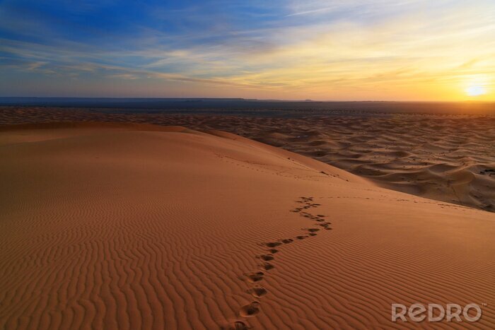 Fotobehang Voetstappen door de woestijn