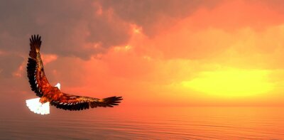 Fotobehang Vogel op de achtergrond van ondergaande zon