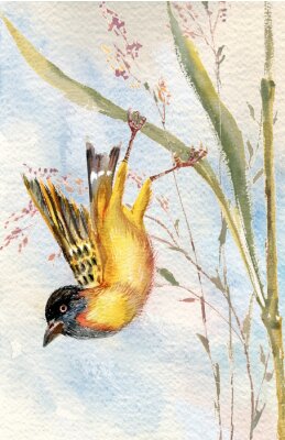 Fotobehang Vogel op een grasspriet